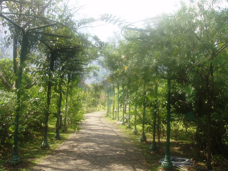 Queen Sirikit Park lanes