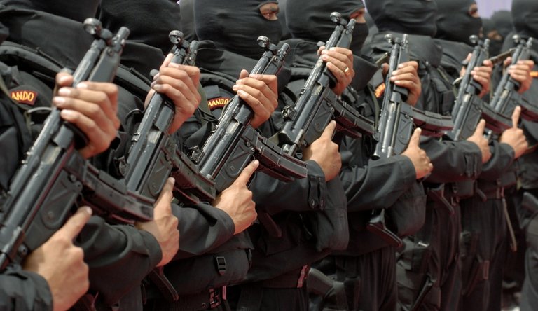 nsg-commandos.jpg