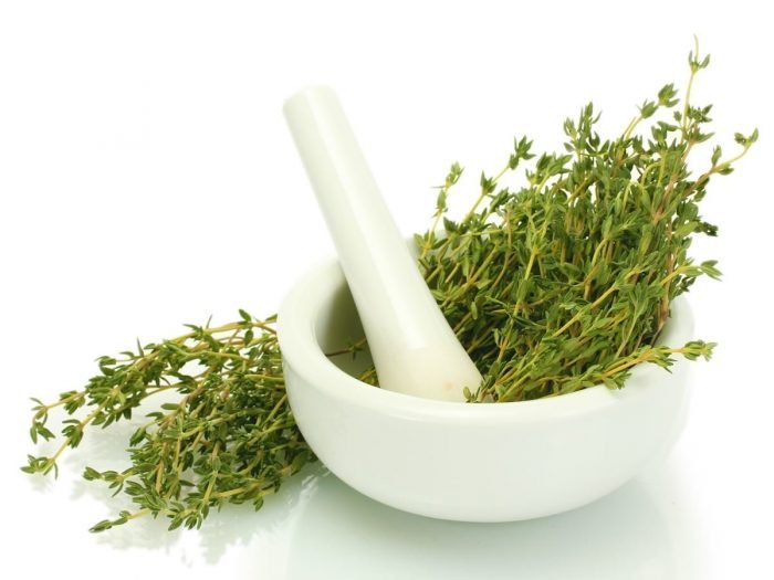 thyme.jpg