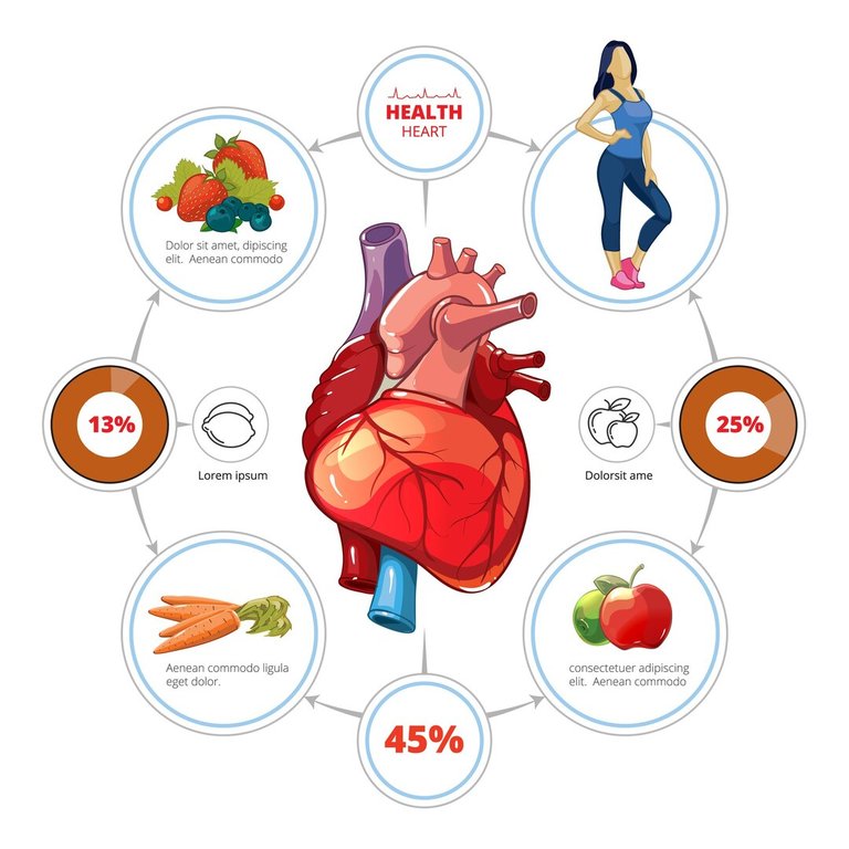 heart-medical-vector-infographics-organ-nutrition-healthcare-vegetable-vitamin-fruit-illustration_1284-42455.jpg