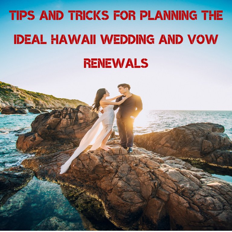 tips-and-tricks-for-planning-the-ideal-hawaii-wedding.jpg