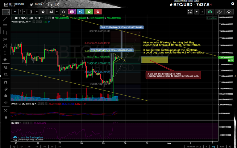 BTC bottom in.png