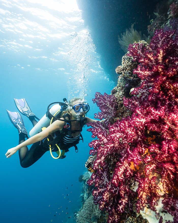 Dive-Raja-Ampat.jpg