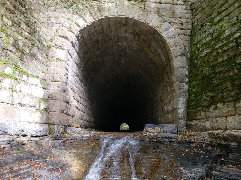 tunnel5.jpeg