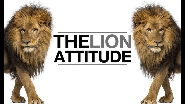 lion attitude 1.jpg