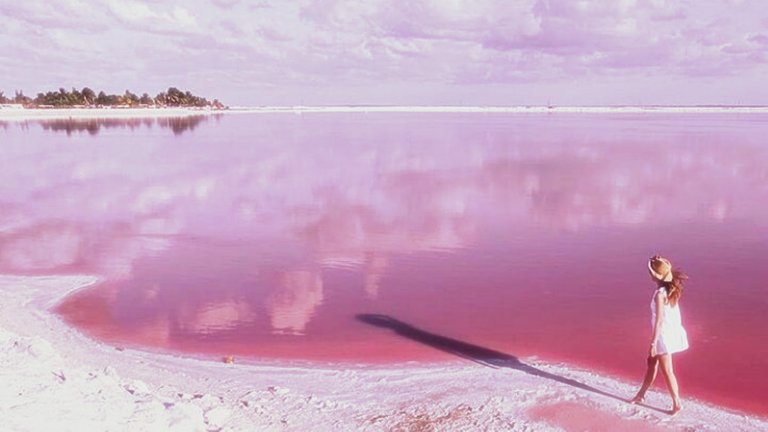 portada-Las-Coloradas-Yucatán-Foto-Yucatán-Turismo-5.jpg