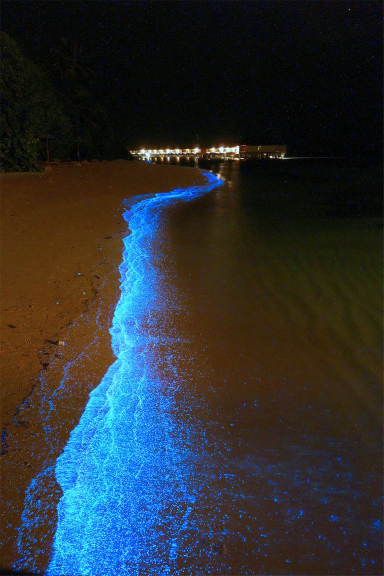 maldives-beach.jpg