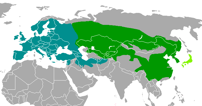 Meles_species_map.png