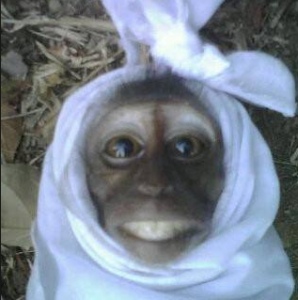 hantu-pocong-lucu-versi-monyet.png