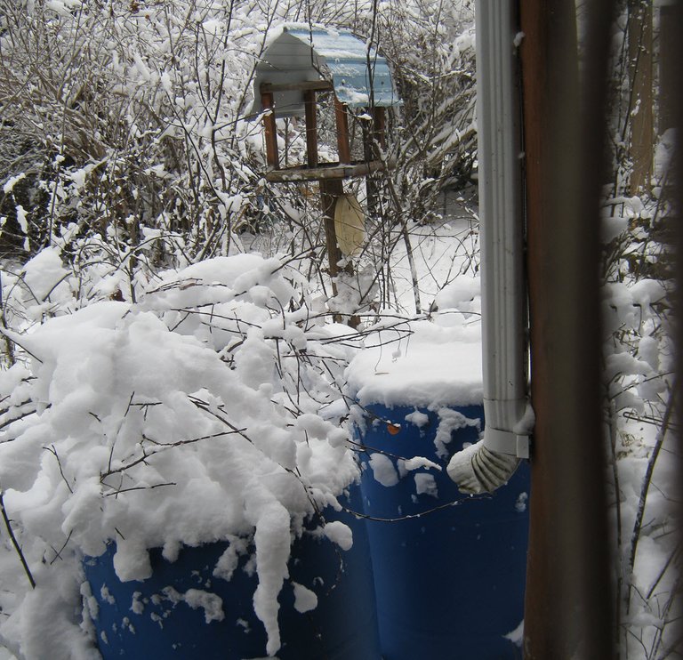 down spout with water barrels in snow.JPG