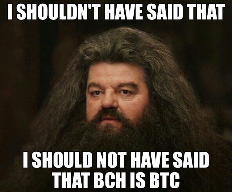 BCH is BTC.JPG