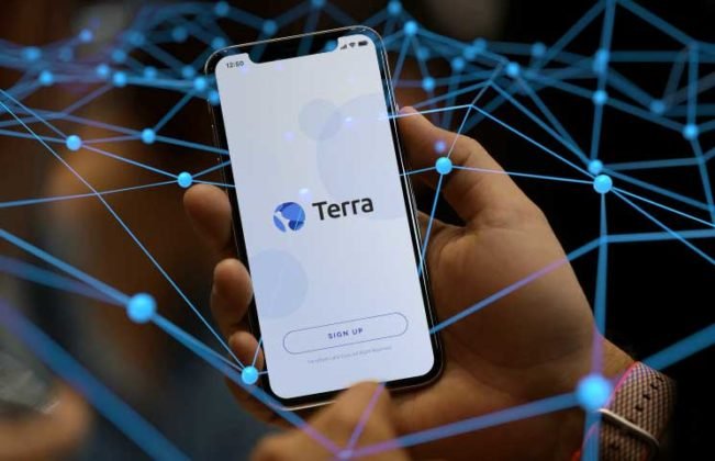 Terra-Is-a-New-Ambitious-Crypto-Project-To-Create-a-Stable-Coin-Via-E-Commerce-651x420.jpg