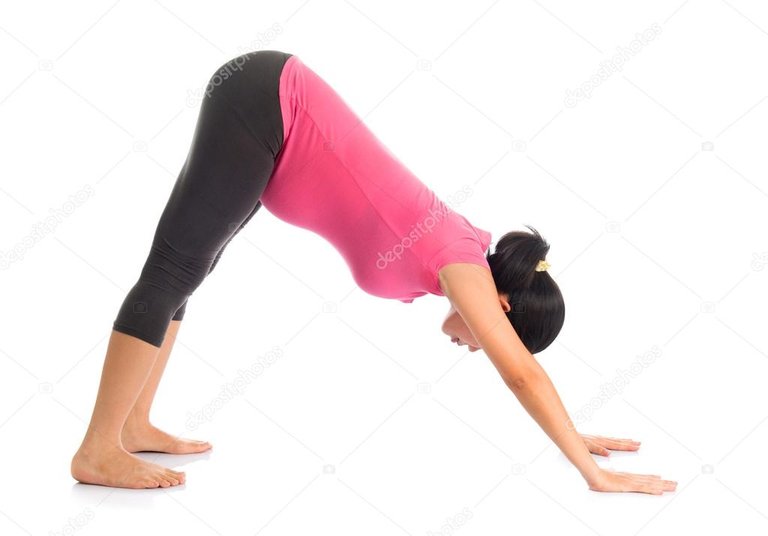 Downward facing dog.jpg