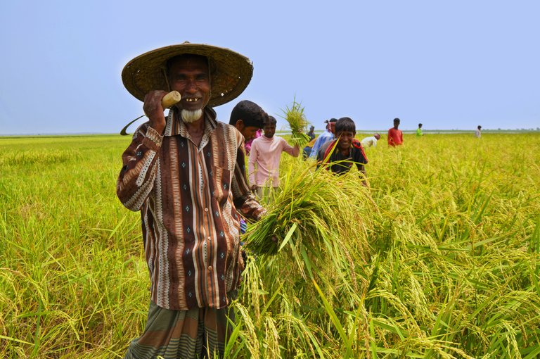 Farmer_of_Bangladesh.jpg