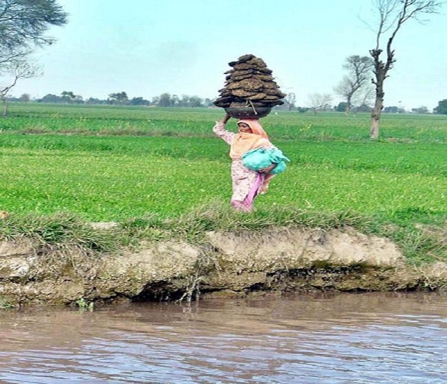 woman-with-dung-cake.jpg