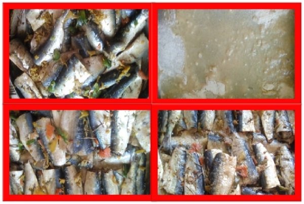 SARDINAS PROCESO .jpg