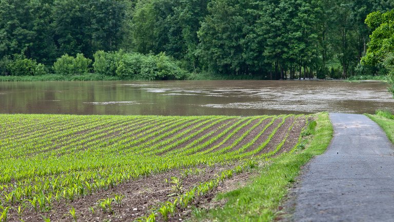 8921112355-river-werra (FILEminimizer).jpg
