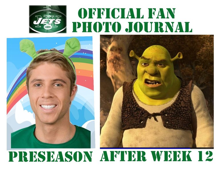 shrek_beforeafter.jpg