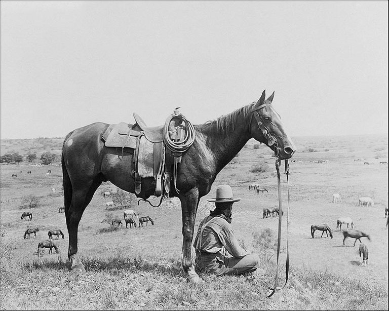 old-west-cowboy-horses-bonham-texas-1910-photo-print-6.jpg