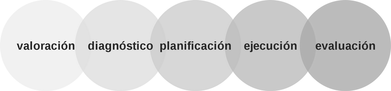 1920px-Proceso_de_atención_de_enfermería_(NANDA).svg.png