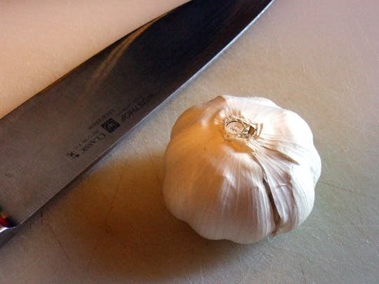 garlic.jpg