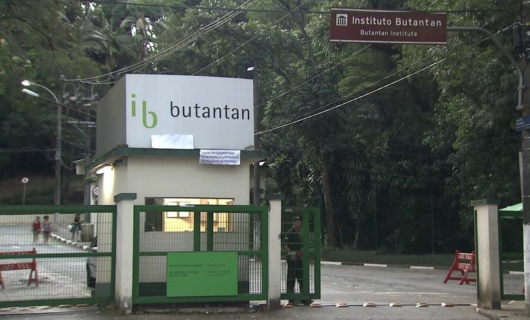 instituto-butanta-1.jpg