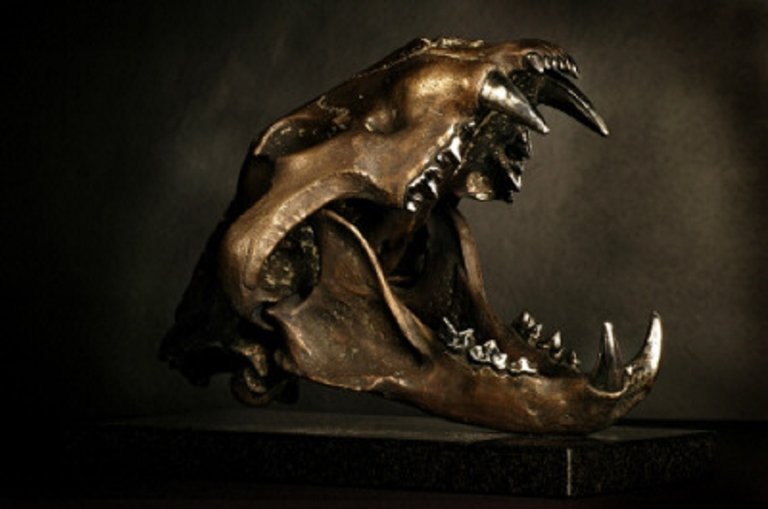 Lion Skull Life Size.jpg