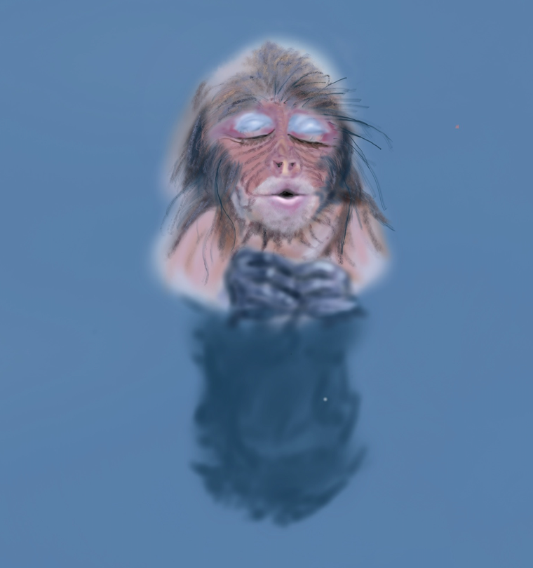 monkey-business.png