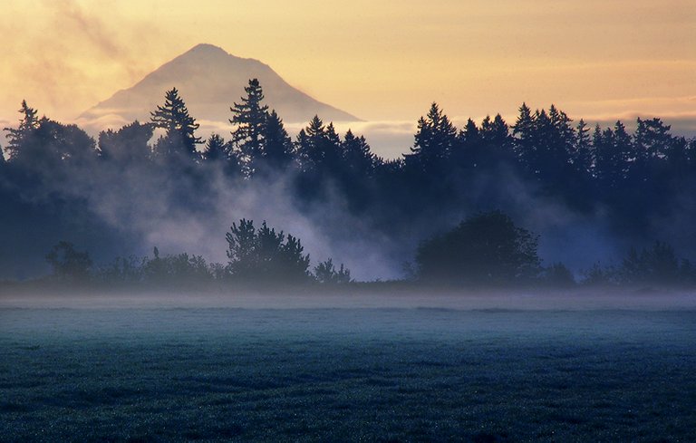 woodburn_fogs_by_cezarmart.jpg