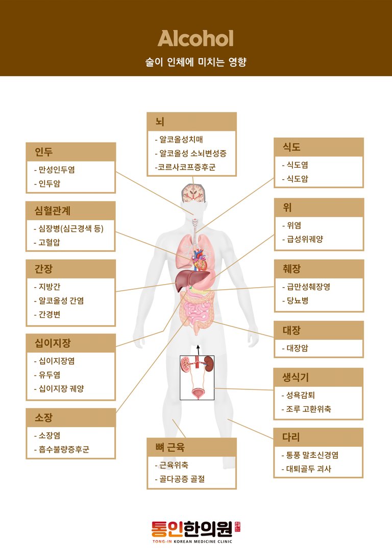 술이_인체에_미치는_영향.jpg