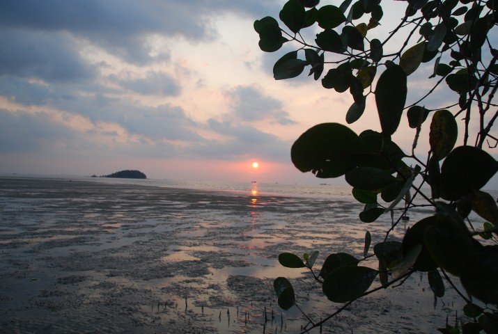 DSC_0255.JPG
