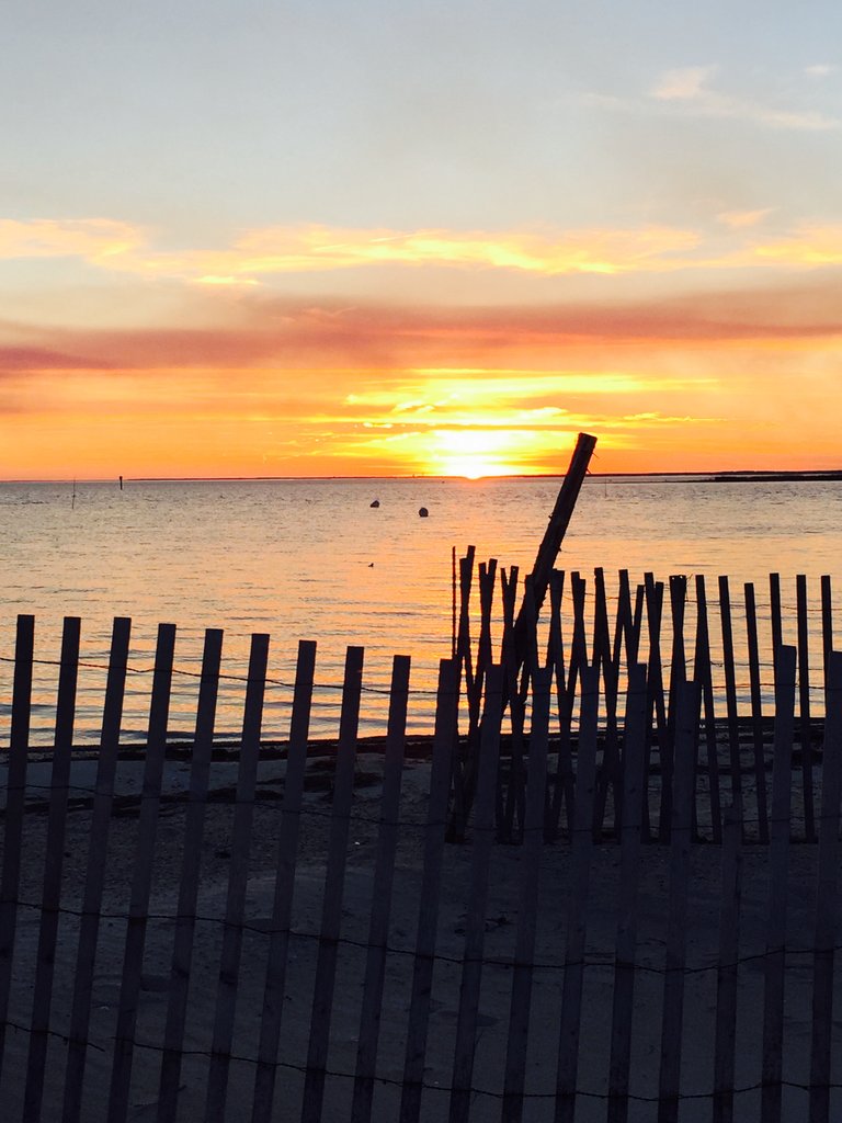 sunset on the bay