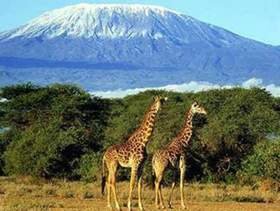 kilimanjaro2.jpg