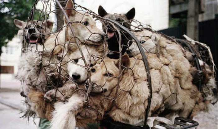 yulin11.jpg