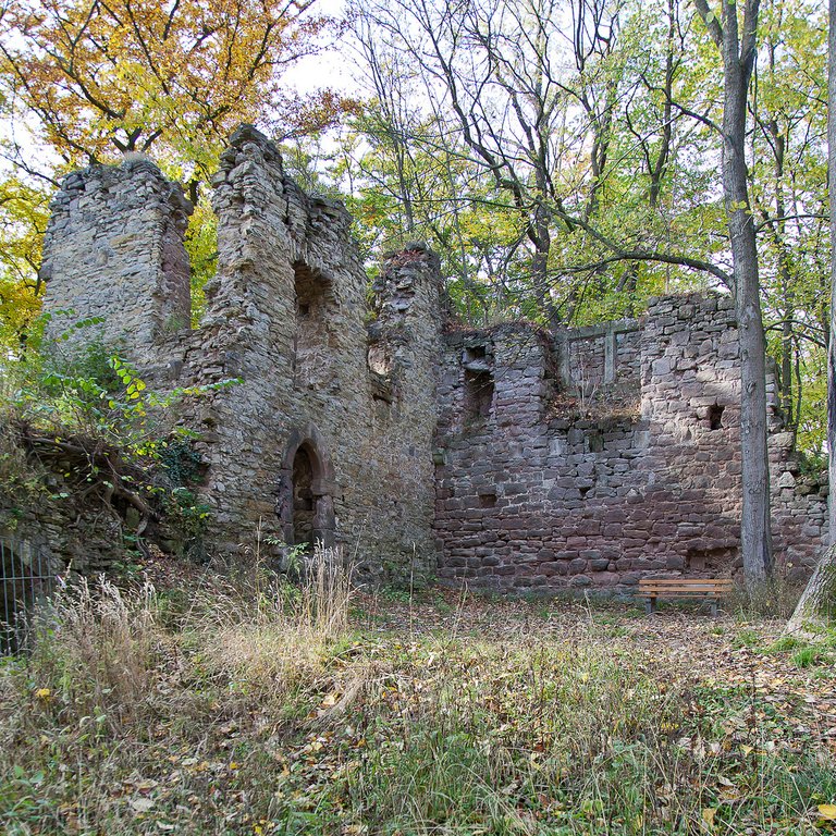 10489113174-ruins-of-altenstein-castle-thuringia (FILEminimizer).jpg