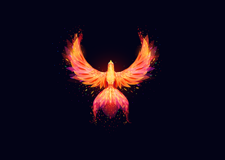 fire bird-2.png