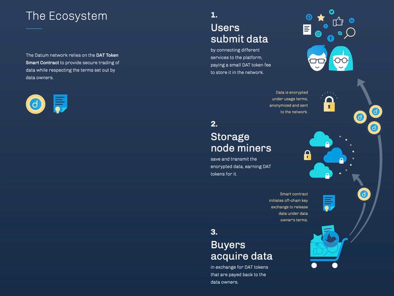 The-Ecosystem.jpeg