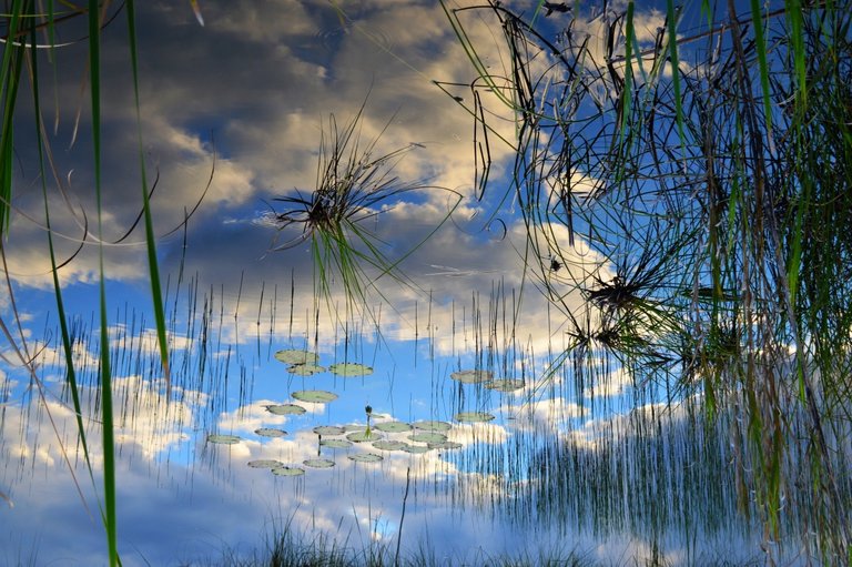 Sunset_Lake_Coba.jpg