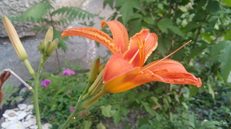 20180611_164010.jpg