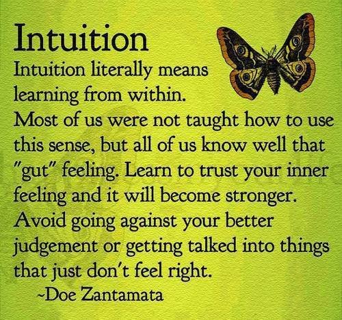 intuition-1.jpg