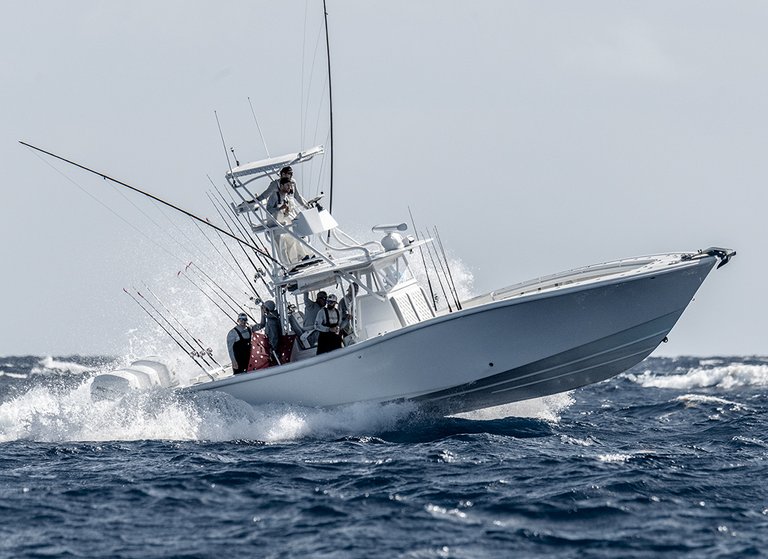 Fishing Photographer (Florida).jpg