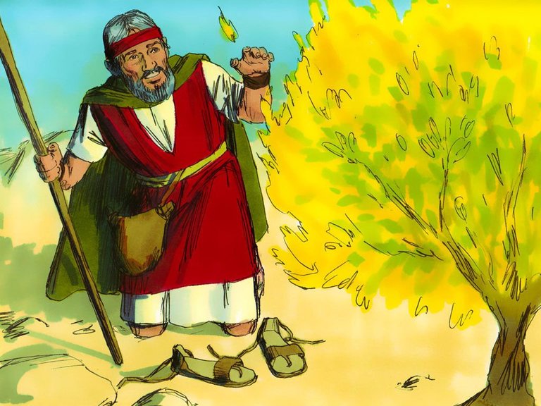 004-moses-burning-bush.jpg