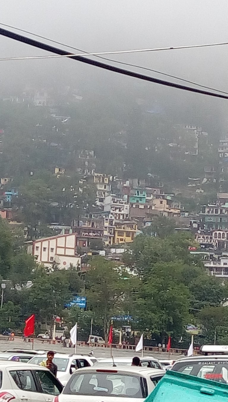 IMAG0383.jpg