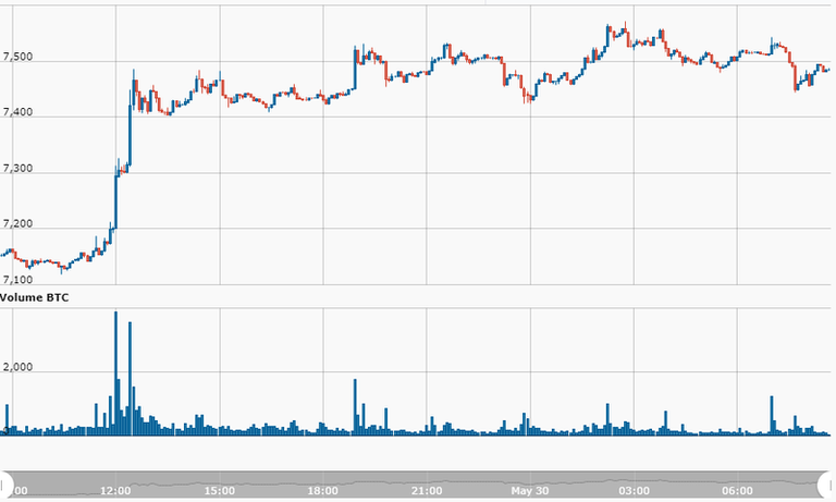 BTC PICTURE GRAPH.png