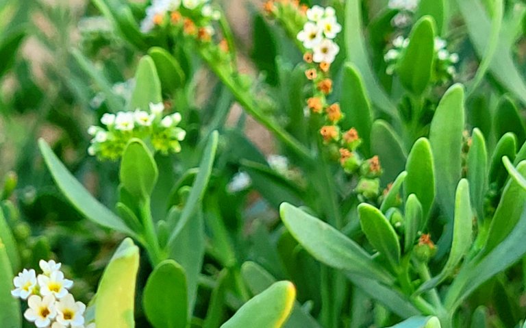 20240424_172601.jpg