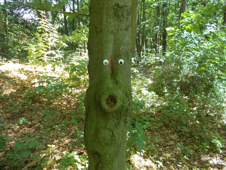 DSCN1582.JPG