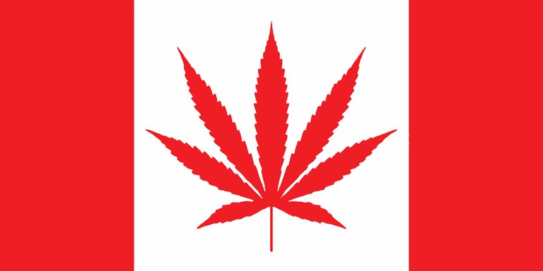 Dank Master Canadian weed leaf flag.jpg