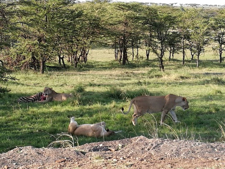 Maasai National Reserve37.jpg