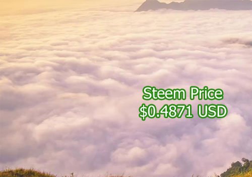 steem-10-4-19.jpg