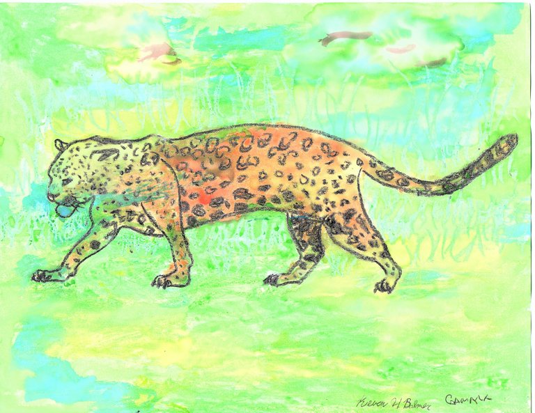 JaguarColoredGabriela.jpg